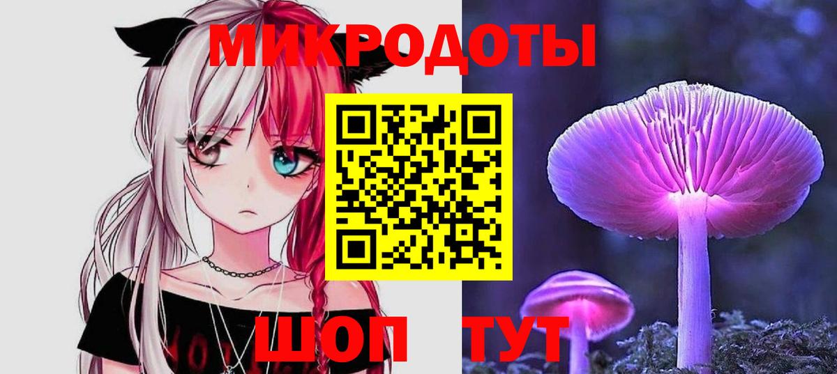 Галлюциногенные грибы Psilocybine cubensis Можайск